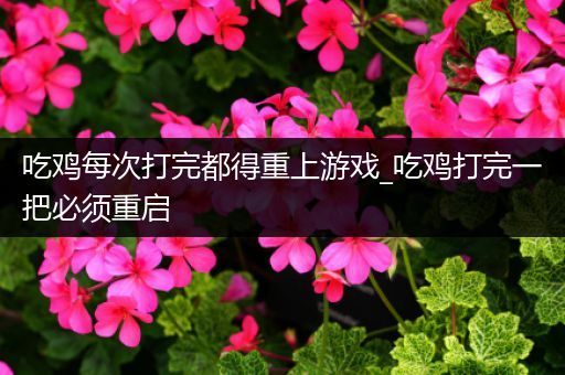 吃鸡每次打完都得重上游戏_吃鸡打完一把必须重启