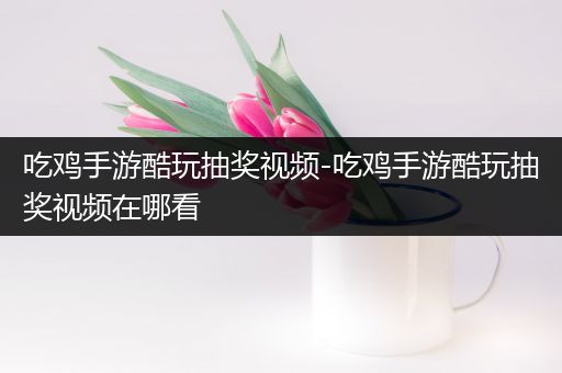 吃鸡手游酷玩抽奖视频-吃鸡手游酷玩抽奖视频在哪看