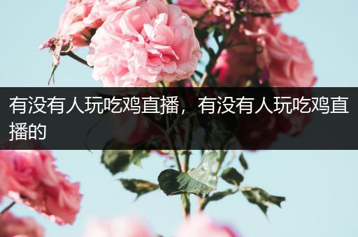 有没有人玩吃鸡直播，有没有人玩吃鸡直播的