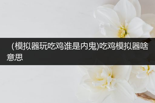 （模拟器玩吃鸡谁是内鬼)吃鸡模拟器啥意思