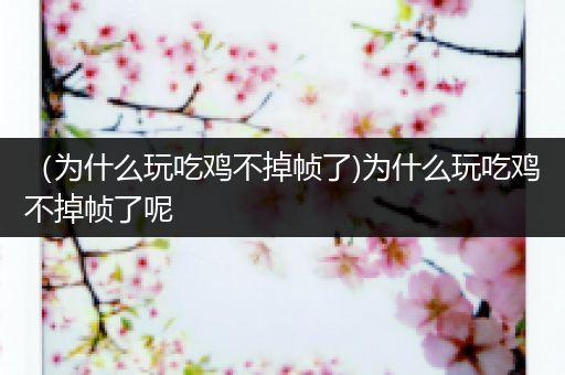 （为什么玩吃鸡不掉帧了)为什么玩吃鸡不掉帧了呢