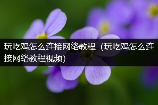 玩吃鸡怎么连接网络教程（玩吃鸡怎么连接网络教程视频）