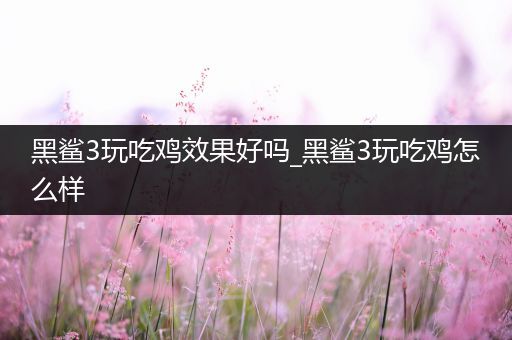 黑鲨3玩吃鸡效果好吗_黑鲨3玩吃鸡怎么样