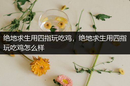 绝地求生用四指玩吃鸡，绝地求生用四指玩吃鸡怎么样