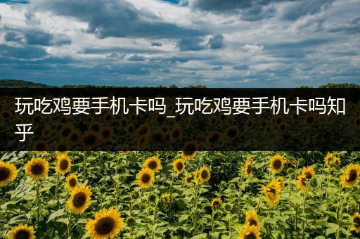 玩吃鸡要手机卡吗_玩吃鸡要手机卡吗知乎
