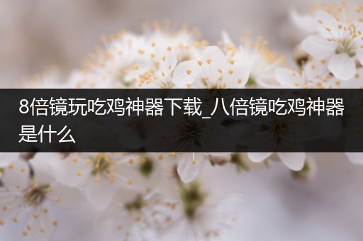 8倍镜玩吃鸡神器下载_八倍镜吃鸡神器是什么
