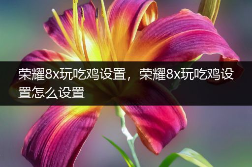 荣耀8x玩吃鸡设置，荣耀8x玩吃鸡设置怎么设置