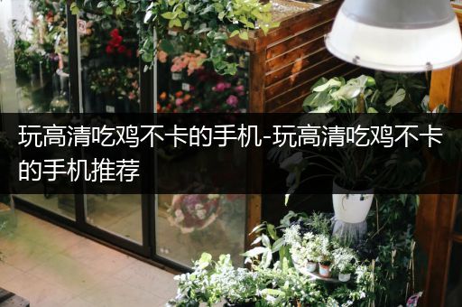 玩高清吃鸡不卡的手机-玩高清吃鸡不卡的手机推荐