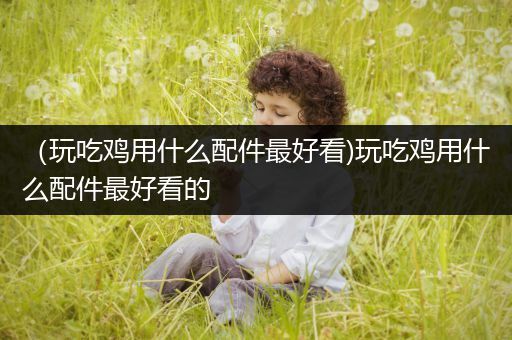 （玩吃鸡用什么配件最好看)玩吃鸡用什么配件最好看的