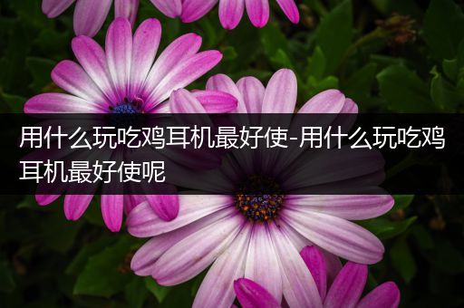 用什么玩吃鸡耳机最好使-用什么玩吃鸡耳机最好使呢