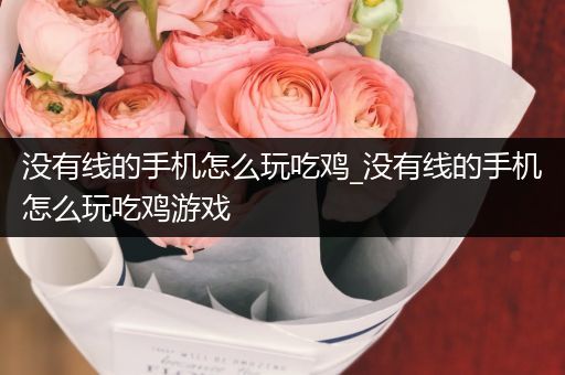 没有线的手机怎么玩吃鸡_没有线的手机怎么玩吃鸡游戏
