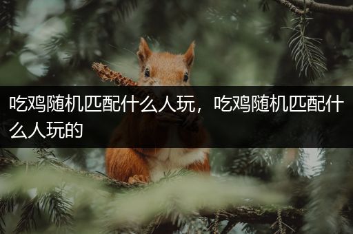 吃鸡随机匹配什么人玩，吃鸡随机匹配什么人玩的