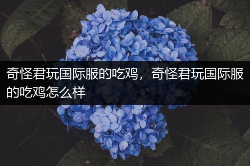 奇怪君玩国际服的吃鸡，奇怪君玩国际服的吃鸡怎么样