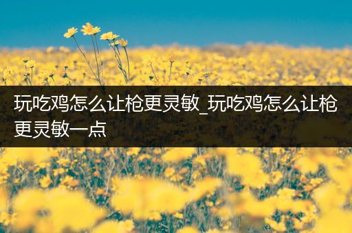 玩吃鸡怎么让枪更灵敏_玩吃鸡怎么让枪更灵敏一点