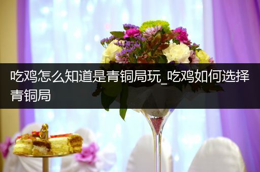 吃鸡怎么知道是青铜局玩_吃鸡如何选择青铜局