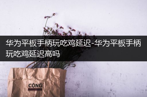 华为平板手柄玩吃鸡延迟-华为平板手柄玩吃鸡延迟高吗