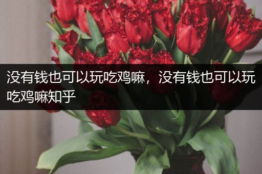 没有钱也可以玩吃鸡嘛，没有钱也可以玩吃鸡嘛知乎