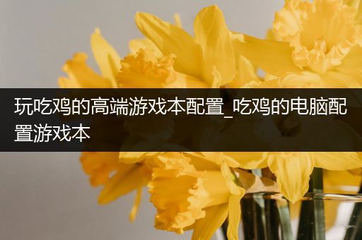 玩吃鸡的高端游戏本配置_吃鸡的电脑配置游戏本