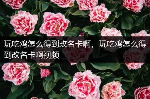 玩吃鸡怎么得到改名卡啊，玩吃鸡怎么得到改名卡啊视频