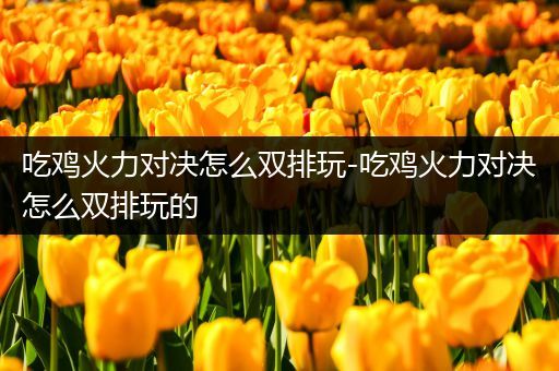 吃鸡火力对决怎么双排玩-吃鸡火力对决怎么双排玩的