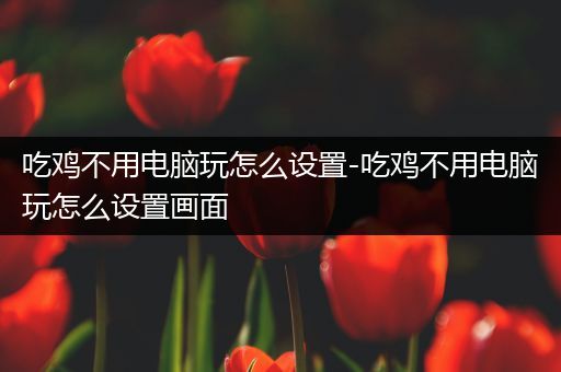 吃鸡不用电脑玩怎么设置-吃鸡不用电脑玩怎么设置画面