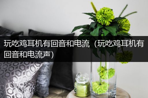 玩吃鸡耳机有回音和电流（玩吃鸡耳机有回音和电流声）