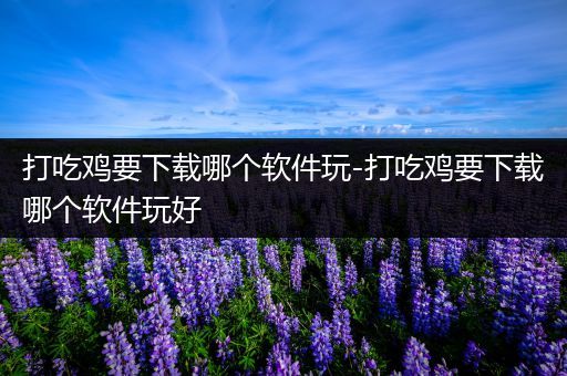 打吃鸡要下载哪个软件玩-打吃鸡要下载哪个软件玩好