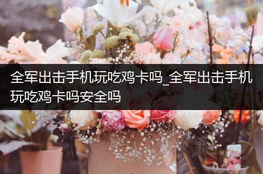 全军出击手机玩吃鸡卡吗_全军出击手机玩吃鸡卡吗安全吗