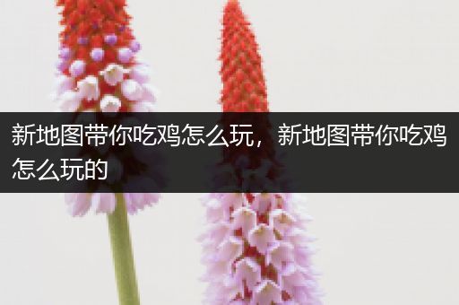 新地图带你吃鸡怎么玩，新地图带你吃鸡怎么玩的