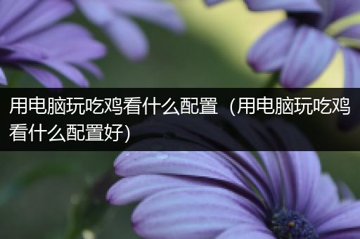 用电脑玩吃鸡看什么配置（用电脑玩吃鸡看什么配置好）