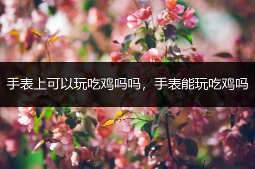 手表上可以玩吃鸡吗吗，手表能玩吃鸡吗