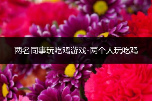 两名同事玩吃鸡游戏-两个人玩吃鸡