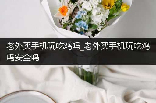 老外买手机玩吃鸡吗_老外买手机玩吃鸡吗安全吗