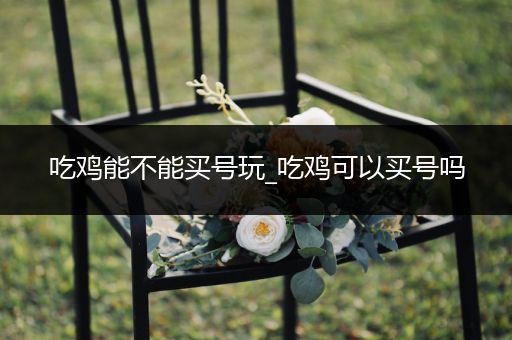 吃鸡能不能买号玩_吃鸡可以买号吗