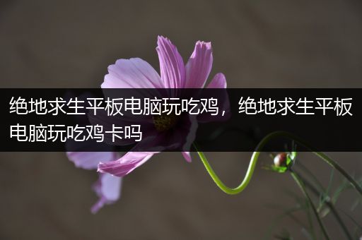 绝地求生平板电脑玩吃鸡，绝地求生平板电脑玩吃鸡卡吗