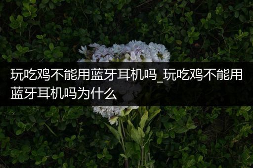 玩吃鸡不能用蓝牙耳机吗_玩吃鸡不能用蓝牙耳机吗为什么
