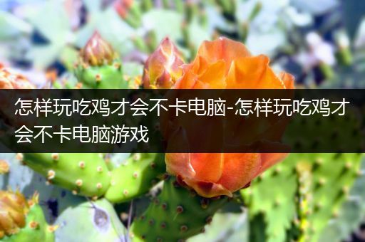 怎样玩吃鸡才会不卡电脑-怎样玩吃鸡才会不卡电脑游戏