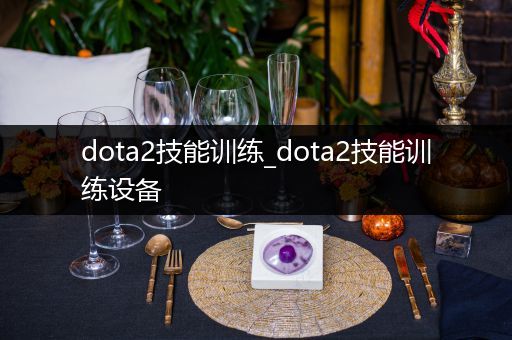dota2技能训练_dota2技能训练设备