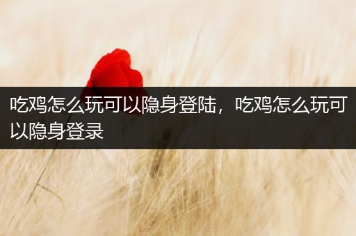 吃鸡怎么玩可以隐身登陆，吃鸡怎么玩可以隐身登录
