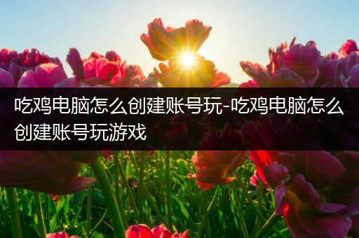 吃鸡电脑怎么创建账号玩-吃鸡电脑怎么创建账号玩游戏