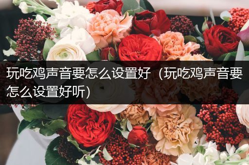 玩吃鸡声音要怎么设置好（玩吃鸡声音要怎么设置好听）