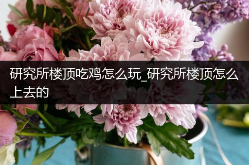 研究所楼顶吃鸡怎么玩_研究所楼顶怎么上去的