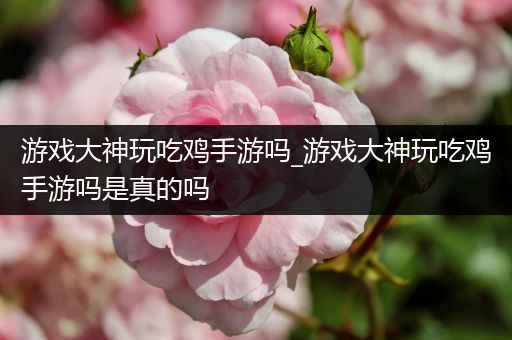 游戏大神玩吃鸡手游吗_游戏大神玩吃鸡手游吗是真的吗