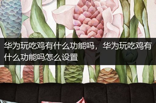 华为玩吃鸡有什么功能吗，华为玩吃鸡有什么功能吗怎么设置