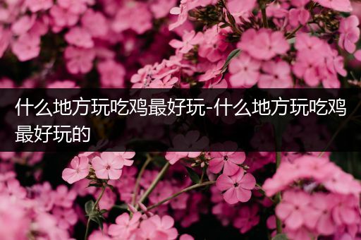 什么地方玩吃鸡最好玩-什么地方玩吃鸡最好玩的