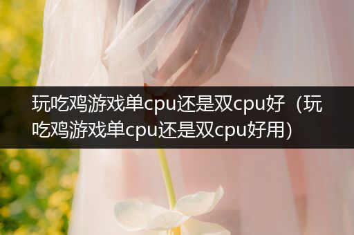 玩吃鸡游戏单cpu还是双cpu好（玩吃鸡游戏单cpu还是双cpu好用）
