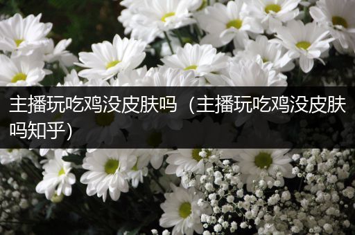 主播玩吃鸡没皮肤吗（主播玩吃鸡没皮肤吗知乎）