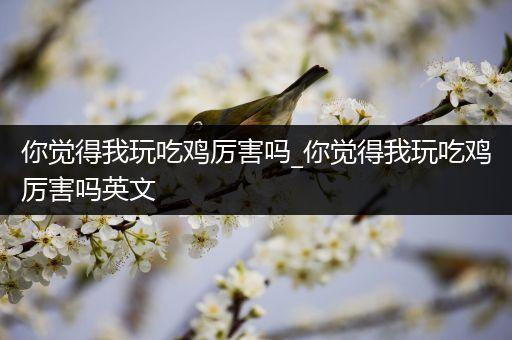 你觉得我玩吃鸡厉害吗_你觉得我玩吃鸡厉害吗英文