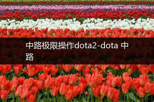 中路极限操作dota2-dota 中路