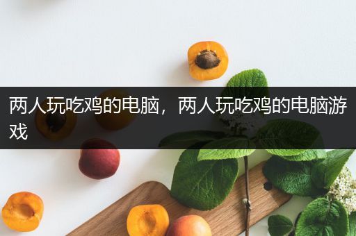 两人玩吃鸡的电脑，两人玩吃鸡的电脑游戏